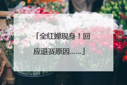 全红婵现身！回应退赛原因……