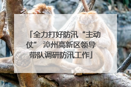 全力打好防汛“主动仗” 漳州高新区领导带队调研防汛工作