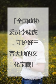 全国政协委员李骏虎：守护好三晋大地的文化宝藏