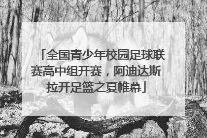 全国青少年校园足球联赛高中组开赛，阿迪达斯拉开足篮之夏帷幕