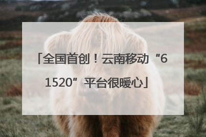 全国首创！云南移动“61520”平台很暖心