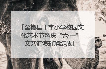 全椒县十字小学校园文化艺术节暨庆“六·一”文艺汇演璀璨绽放