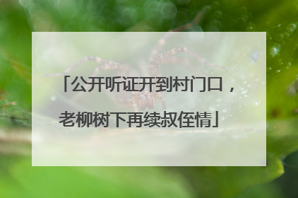 公开听证开到村门口，老柳树下再续叔侄情