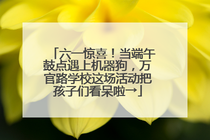 六一惊喜！当端午鼓点遇上机器狗，万官路学校这场活动把孩子们看呆啦→