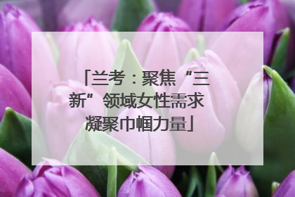 兰考：聚焦“三新”领域女性需求 凝聚巾帼力量