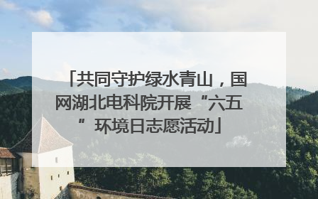 共同守护绿水青山，国网湖北电科院开展“六五”环境日志愿活动