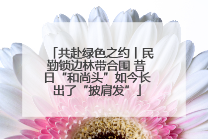 共赴绿色之约丨民勤锁边林带合围 昔日“和尚头”如今长出了“披肩发”