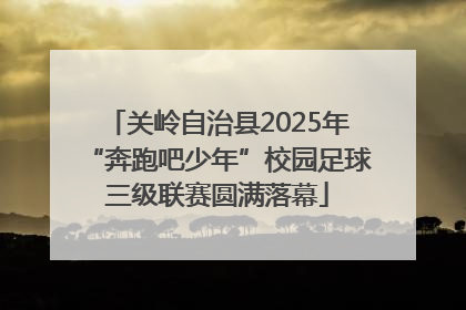 关岭自治县2025年“奔跑吧少年”校园足球三级联赛圆满落幕