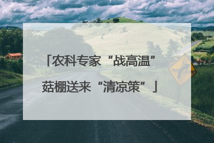 农科专家“战高温” 菇棚送来“清凉策”