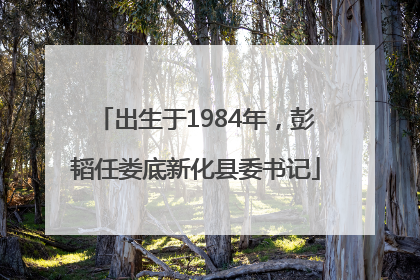 出生于1984年，彭韬任娄底新化县委书记