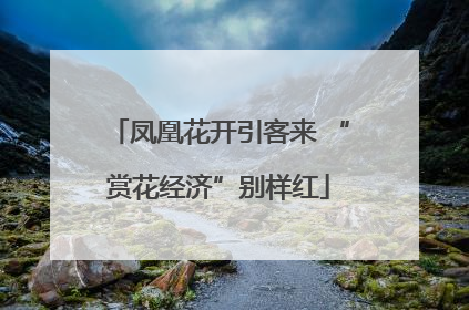凤凰花开引客来 “赏花经济”别样红