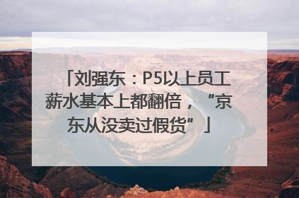 刘强东：P5以上员工薪水基本上都翻倍，“京东从没卖过假货”