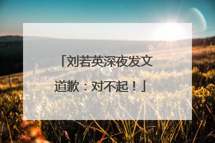 刘若英深夜发文道歉：对不起！