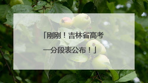 刚刚！吉林省高考一分段表公布！