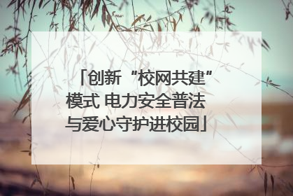 创新“校网共建”模式 电力安全普法与爱心守护进校园