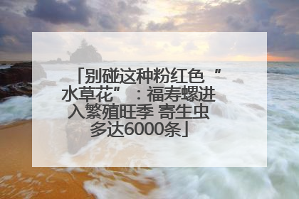 别碰这种粉红色“水草花”：福寿螺进入繁殖旺季 寄生虫多达6000条