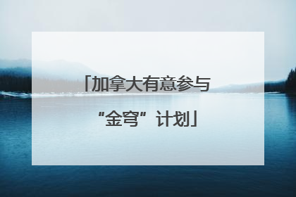 加拿大有意参与“金穹”计划