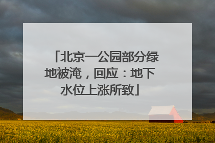 北京一公园部分绿地被淹，回应：地下水位上涨所致