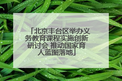 北京丰台区举办义务教育课程实施创新研讨会 推动国家育人蓝图落地