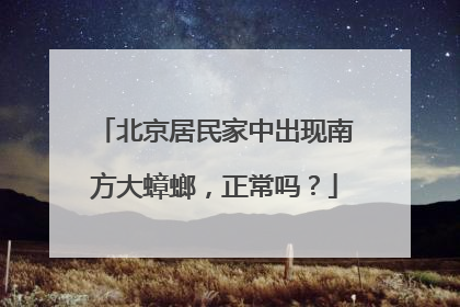 北京居民家中出现南方大蟑螂，正常吗？