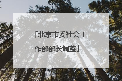 北京市委社会工作部部长调整