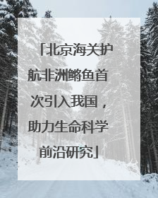 北京海关护航非洲鳉鱼首次引入我国，助力生命科学前沿研究