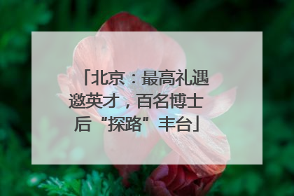 北京：最高礼遇邀英才，百名博士后“探路”丰台