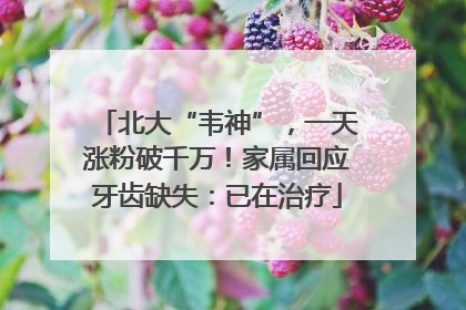 北大“韦神”，一天涨粉破千万！家属回应牙齿缺失：已在治疗