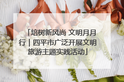 培树新风尚 文明月月行｜四平市广泛开展文明旅游主题实践活动