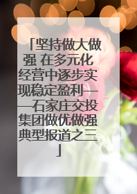 坚持做大做强 在多元化经营中逐步实现稳定盈利——石家庄交投集团做优做强典型报道之三
