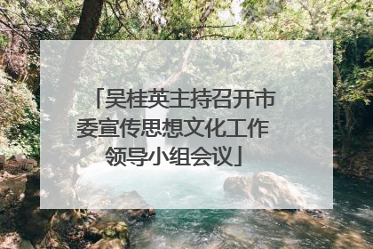 吴桂英主持召开市委宣传思想文化工作领导小组会议