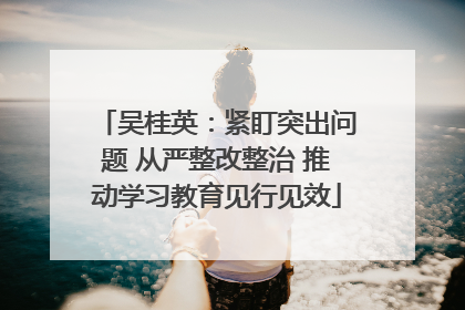 吴桂英：紧盯突出问题 从严整改整治 推动学习教育见行见效