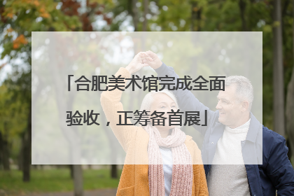 合肥美术馆完成全面验收，正筹备首展