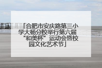 合肥市安庆路第三小学大杨分校举行第六届“和美杯”运动会暨校园文化艺术节