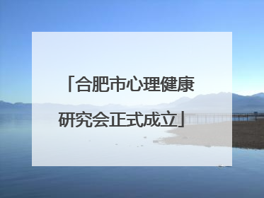 合肥市心理健康研究会正式成立