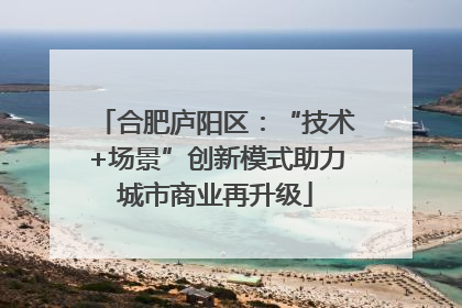 合肥庐阳区：“技术+场景”创新模式助力城市商业再升级