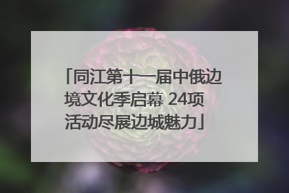 同江第十一届中俄边境文化季启幕 24项活动尽展边城魅力