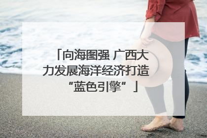 向海图强 广西大力发展海洋经济打造“蓝色引擎”