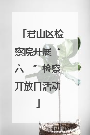 君山区检察院开展“六一”检察开放日活动