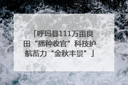 呼玛县111万亩良田“播种收官”科技护航蓄力“金秋丰景”