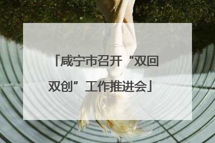 咸宁市召开“双回双创”工作推进会