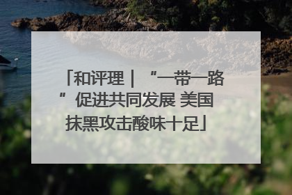 和评理｜“一带一路”促进共同发展 美国抹黑攻击酸味十足