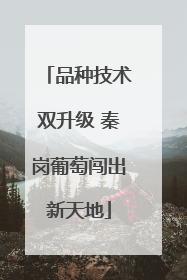 品种技术双升级 秦岗葡萄闯出新天地