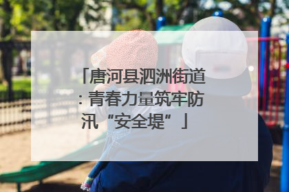 唐河县泗洲街道：青春力量筑牢防汛“安全堤”