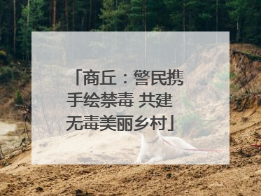 商丘：警民携手绘禁毒 共建无毒美丽乡村