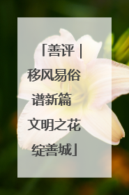 善评｜移风易俗谱新篇 文明之花绽善城