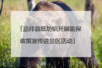嘉祥县纸坊镇开展医保政策宣传进景区活动