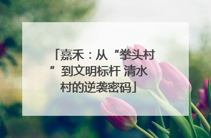 嘉禾：从“拳头村”到文明标杆 清水村的逆袭密码