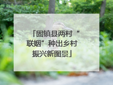 固镇县两村“联姻”种出乡村振兴新图景