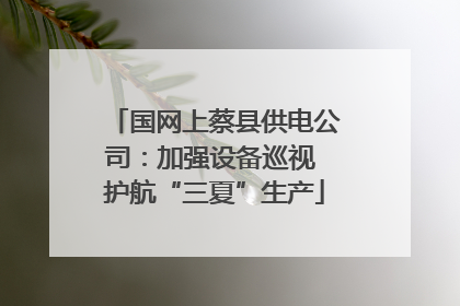 国网上蔡县供电公司：加强设备巡视 护航“三夏”生产